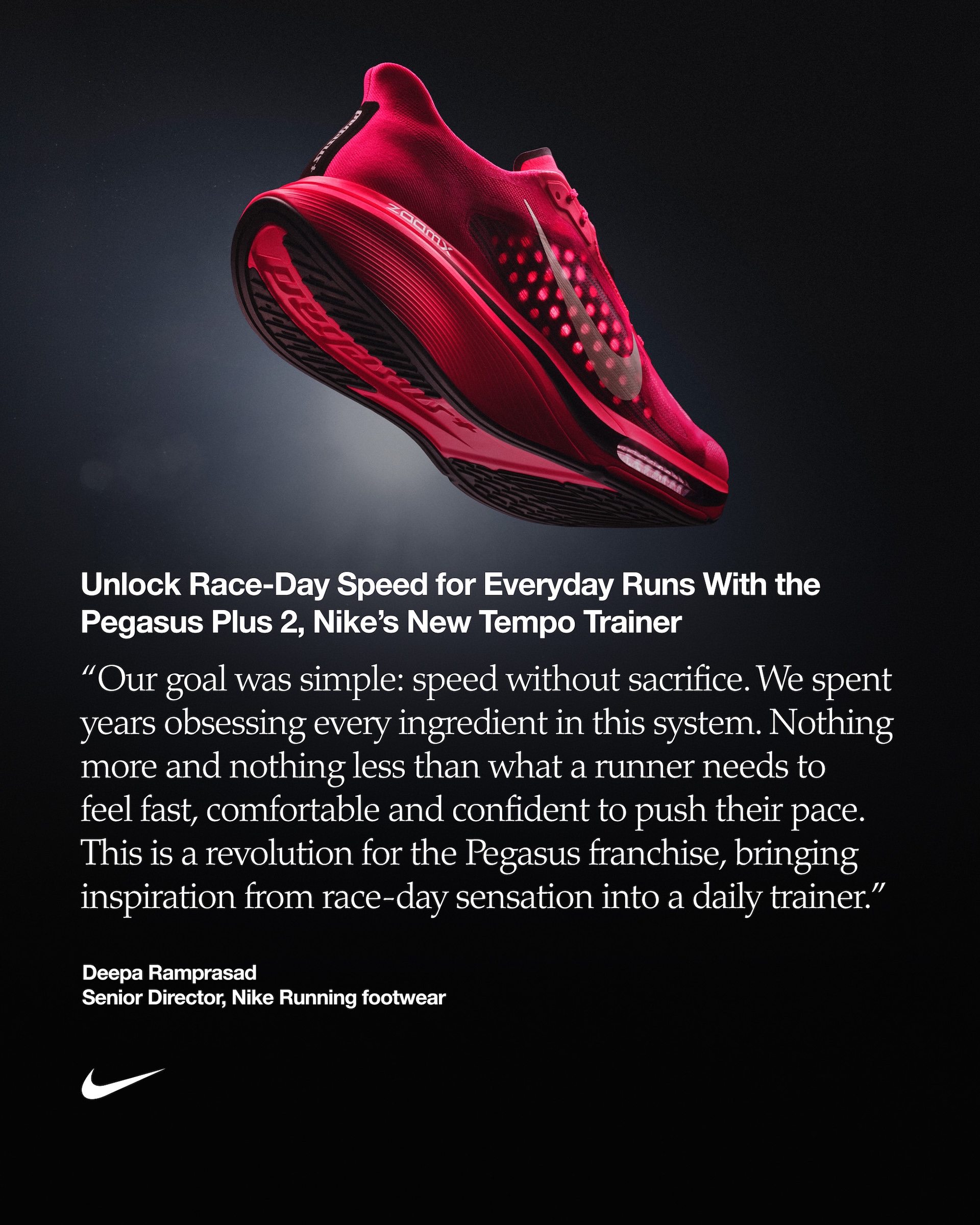 Nike Pegasus Plus 2