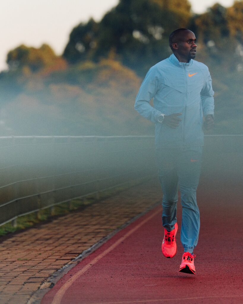 Nike Pegasus Plus 2